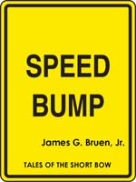 Speed Bump cover