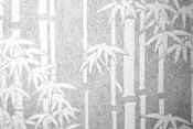 il229 - White Bamboo - 2.jpg (14211 bytes)