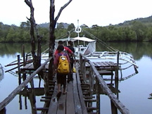 a motorised water transport awaits us at the end of the mangrove walk.